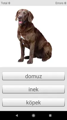 Learn Turkish words with Smart-Teacher android App screenshot 3